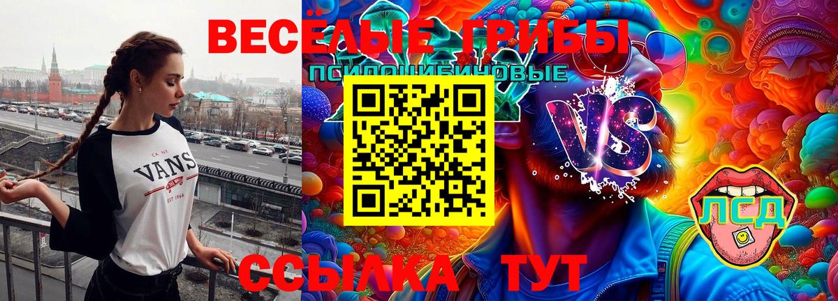 продажа наркотиков  Вход с VPN  Железноводск  Галлюциногенные грибы GOLDEN TEACHER 